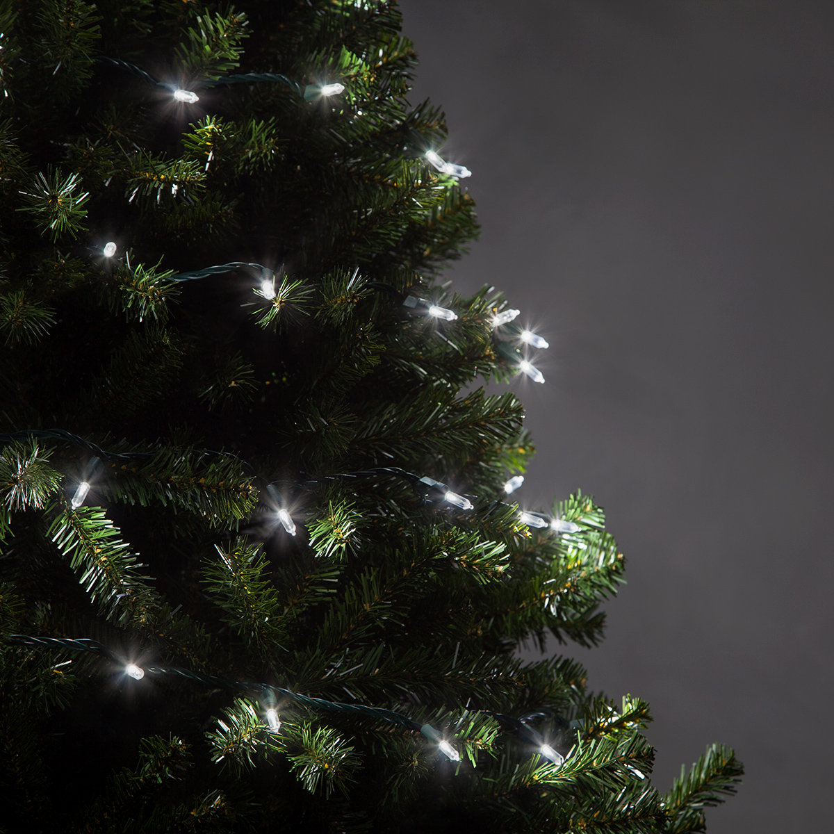 25.5' Steady LED String Lights, Cool White