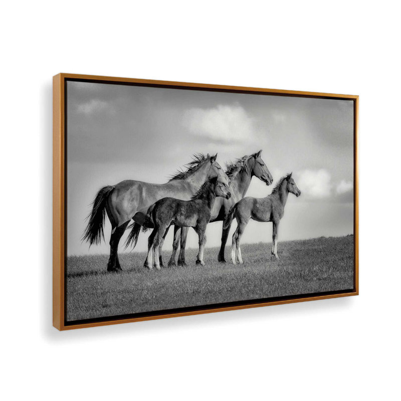 «Family of Wild Horses», reproduction sur toile , H 24,75 po x l 36,75 po x P 1,75 po, Cadre flottant or poli