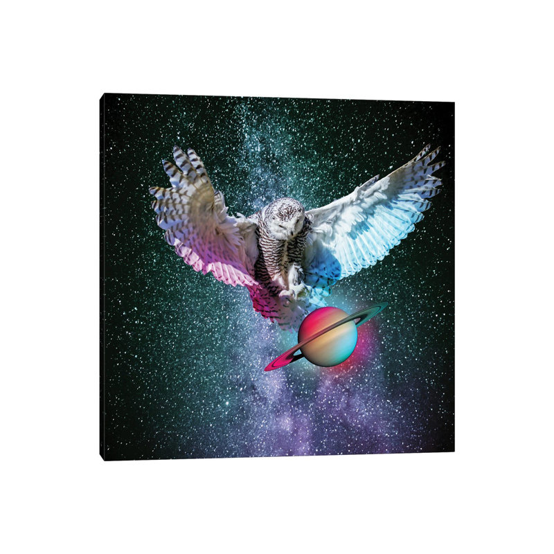 Cloking Sature by David Loblaw - Wrapped Canvas Print, 66.04 cm H x 66.04 cm W x 1.91 cm D