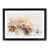 Black Framed selected