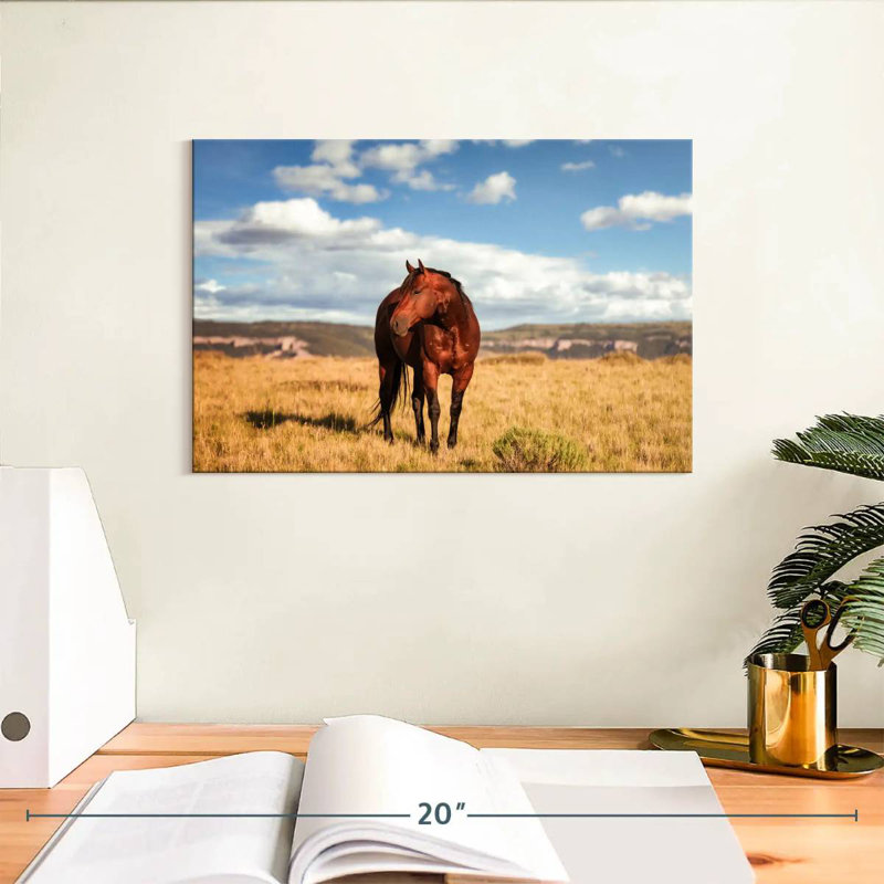 Wild Quarter Horse, H 8 po x l 12 po