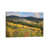 Canvas selected