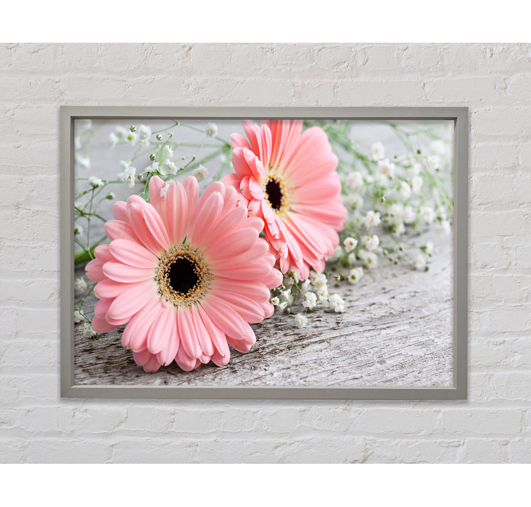 Pink Gerbera Laying Down Close - Einzelner Bilderrahmen Kunstdrucke auf Leinwand