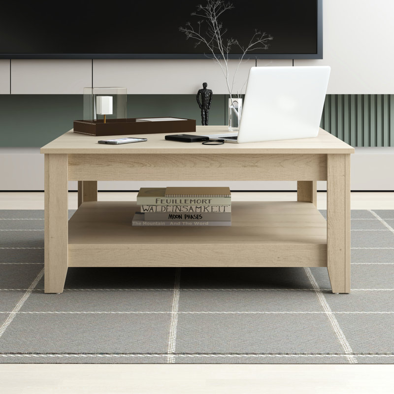 Weddel Basilico Coffee Table with Storage