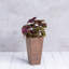 Pot à fleurs avec égouttoir Sewstone Artstone-1328659550-1328659548