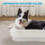 Orthopedic Polyester Pet Bed