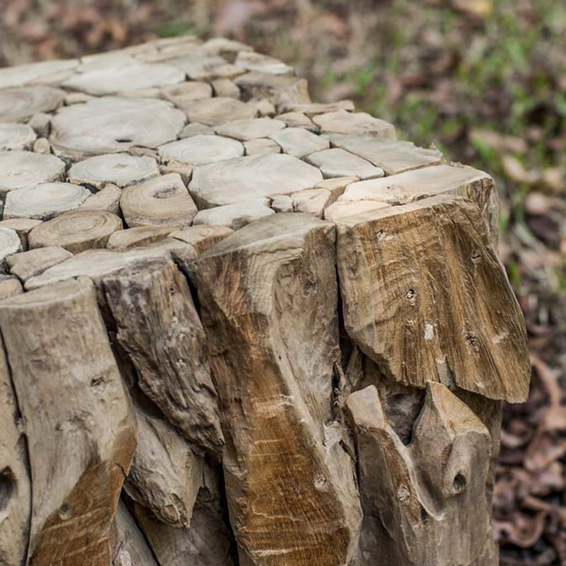Mendes Solid Wood Tree Stump End Table