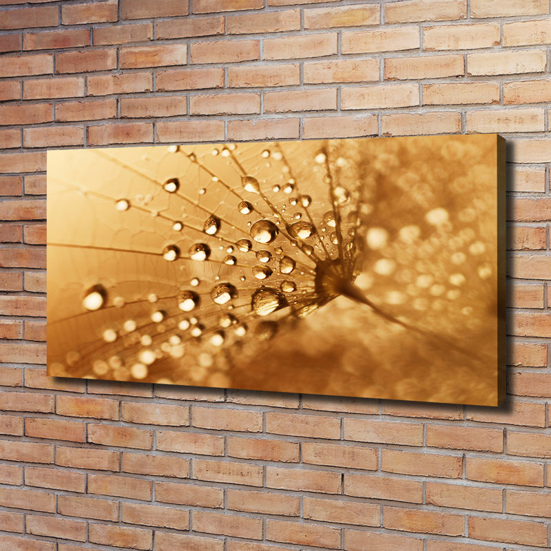 Dandelion - No Frame Print on Canvas