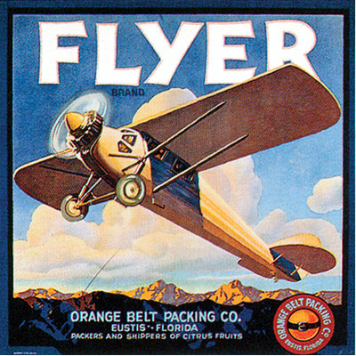 Flyer 1 Piece Wrapped Canvas Wall Art