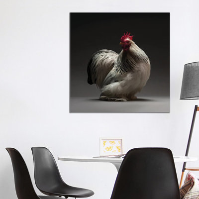 Columbian Cochin Bantam - Wrapped Canvas Print
