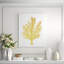 Blush Coral II Print by Sofia Fox-26931075-26931077