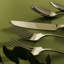 Feast 20 Piece Flatware Set, Service for 4