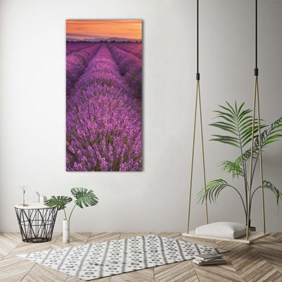 Lavender Field - Wrapped Canvas Print