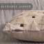 Housses de coussin de Noël 18 x 18 pouces, ensemble de 2 décorations de Noël, coussins en peluche doux pour arbre de Noël, décoration de vacances d'hiver pour canapé salon PT-002C18