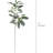 29" Tall Lamb's Ear Plant