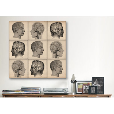 Cartography Human Head Anatomy Collage Graphic Art on Canvas