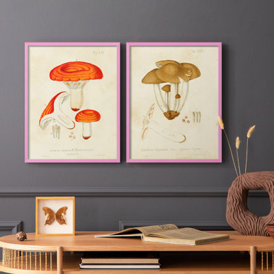 «Mushroom Variétés», reproduction encadrée de qualité supérieure - prête à être accrochée - aucun clou requis - aucun clou requis