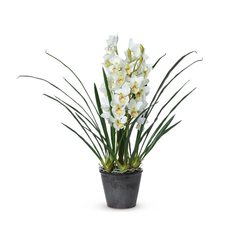 40'' Green and White Faux Cymbidium Orchid in Black Pot