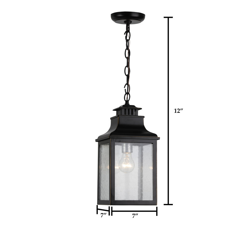 Luminaire suspendu d'extérieur noir 1 lumière Pinal