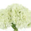 Hydrangea Bouquet In Vase-336806017