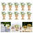 Iron Table Vase-436704042
