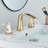 Widespread 2-handle Bathroom Faucet