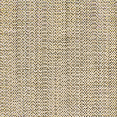Fiero Fabric