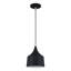 Luminaire suspendu Catrinia-121436243