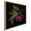 « prune no words », reproduction de peinture à l’acrylique sur toile-25342296-25342309