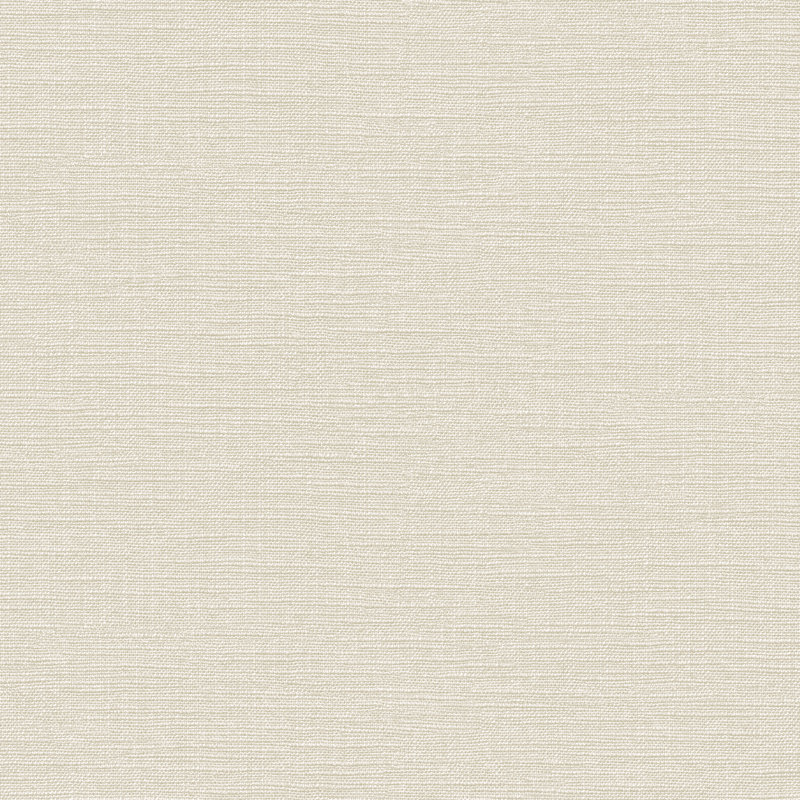 Intrigue 33cm x 52cm Texture Wallpaper Roll, Creme