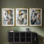 ANIMALS Series Cxxi - Impression encadrée sur mesure de qualité supérieure - 3 pièces-740365863-740365866