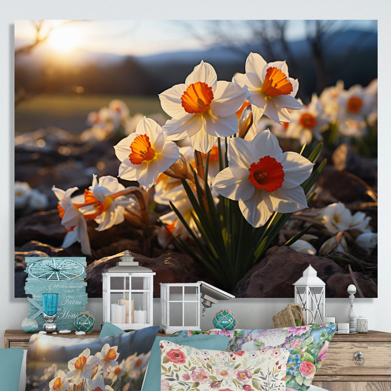 Daffodils Field Sunset II - Floral Wall Decor, H 24 po x l 32 po, Toile tendue