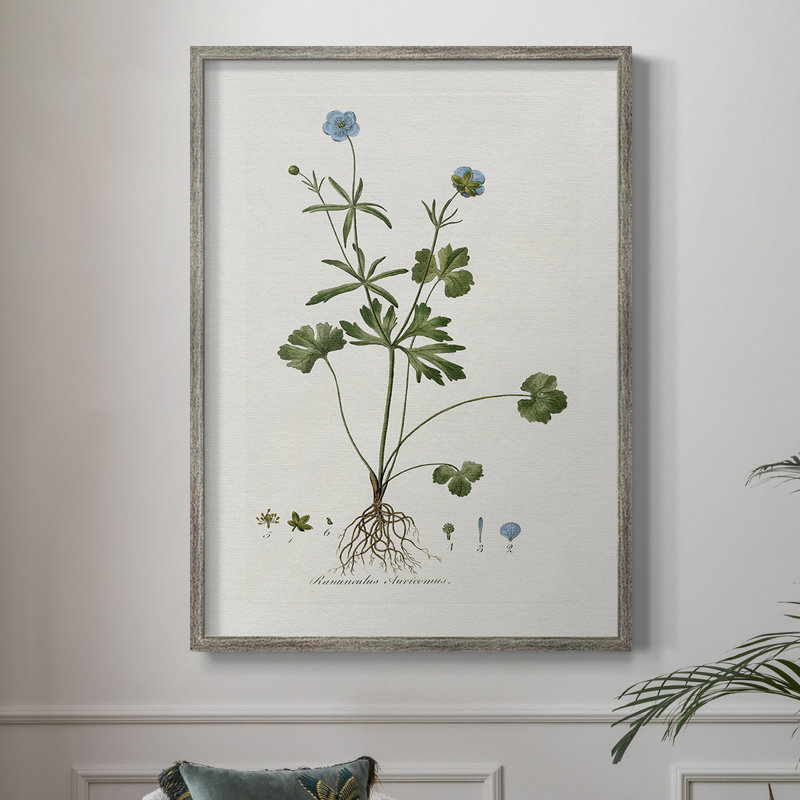 «Buttercup Study», reproduction encadrée - bois massif 47496, H 11 po x l 9 po