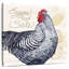 Poulet vivant à la ferme-109221531