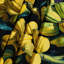 Tapisserie murale Fruit Plantain-133648019