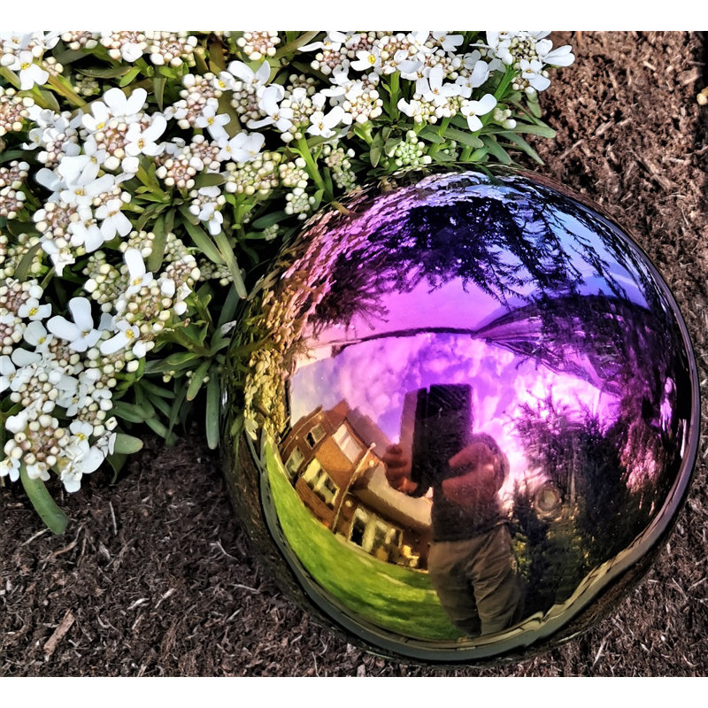 Deilyn Stainless Steel Gazing Ball, 20cm H x 20cm W x 20cm D, Turquoise/Purple/Polished yellow 
