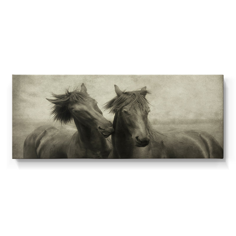 «Horses Don't Whisper», toile tendue avec châssis - Prêt à être accroché, H 12 po x l 30 po