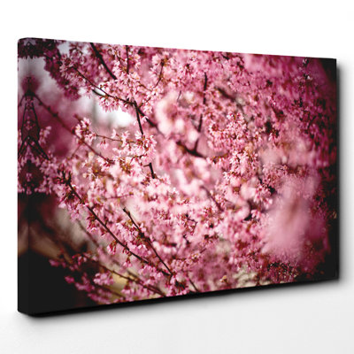 Wrapped Canvas Print