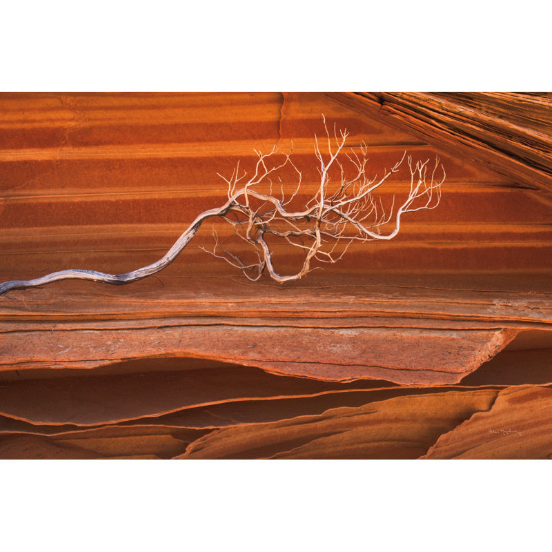 «Coyote Buttes V» par Alan Majchrowicz - reproduction d'art sur toile tendue, H 32 po x l 48 po, Non