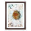 A White Daisy in Abstract - Framed Print-55629211-55629212