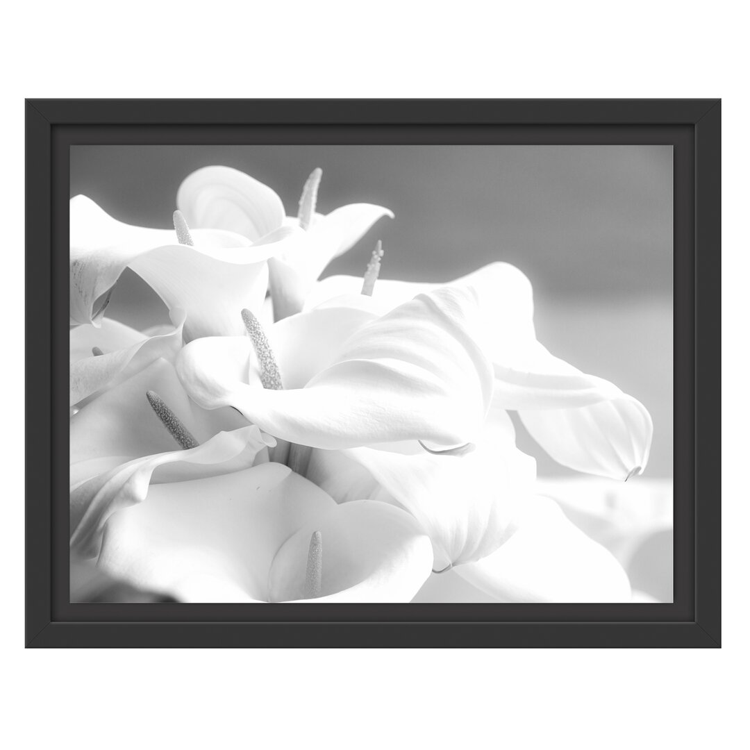 Gerahmtes Wandbild weiße Calla Lilien Kunst B&W