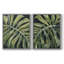 Reproduction encadrée Nocturnal Monstera I-Premium - prête à être accrochée - aucun clou requis - aucun clou requis-280901707-280901701