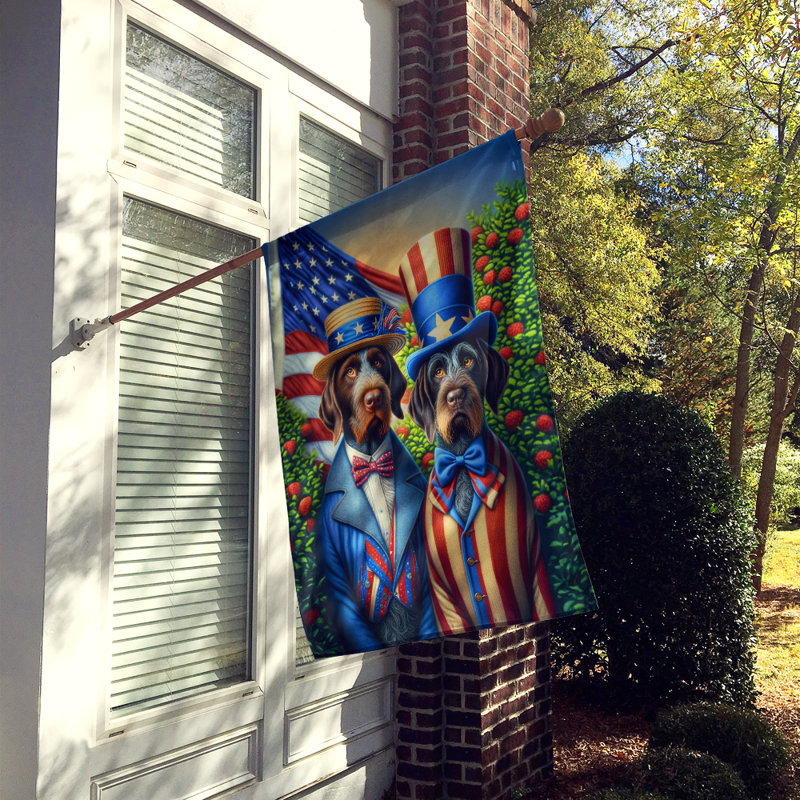 Drapeau «All American House», Pointeur en fil de fer jaune jaune