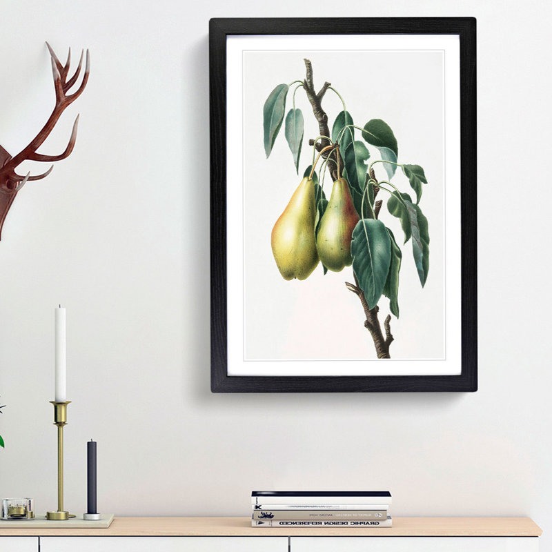 Lemon Pear Tree by Giorgio Gallesio - Picture Frame Painting Print, 36cm H x 27cm W x 2cm D, Black Framed