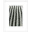 Silver Spike Small 6 Framed Photographic Print