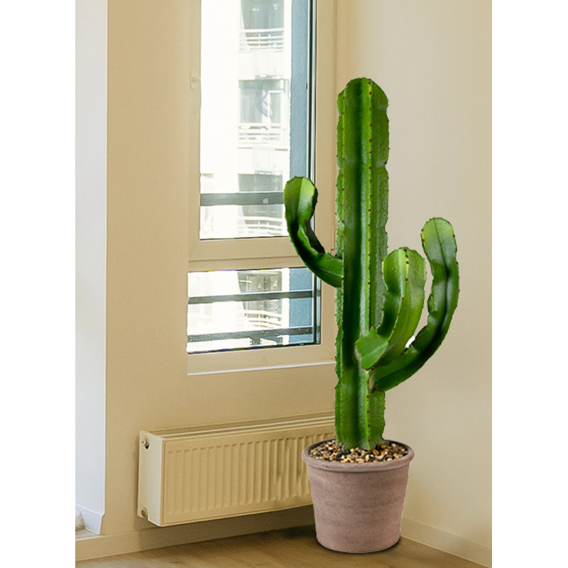 44 "plante de cactus artificielle en pot