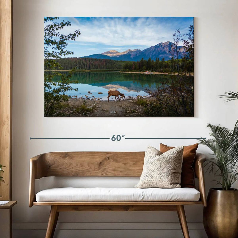 Orignal sauvage du parc Jasper, H 34 po x l 51 po