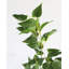 Verdure artificielle 30 po Smilax