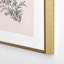 Anis Illustration Minimal Acacia Branch, reproduction d'art encadrée-104940579-104940581
