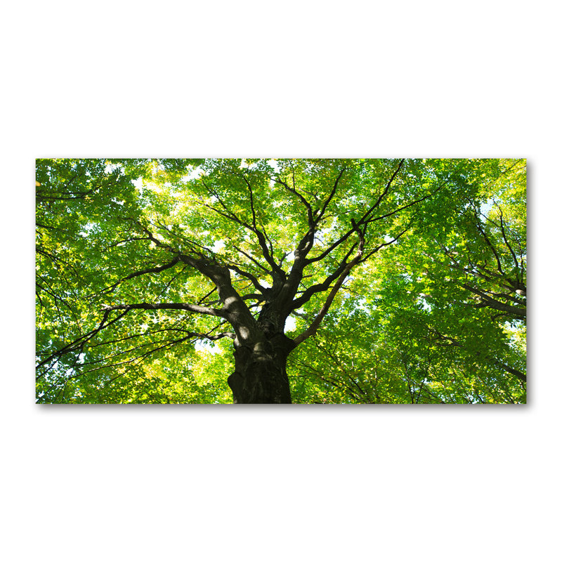 Green Forest - Print, Glass, 70cm H x 100cm W